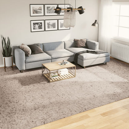 Vloerkleed Shaggy Hoogpolig Modern Beige 300 x 400 cm