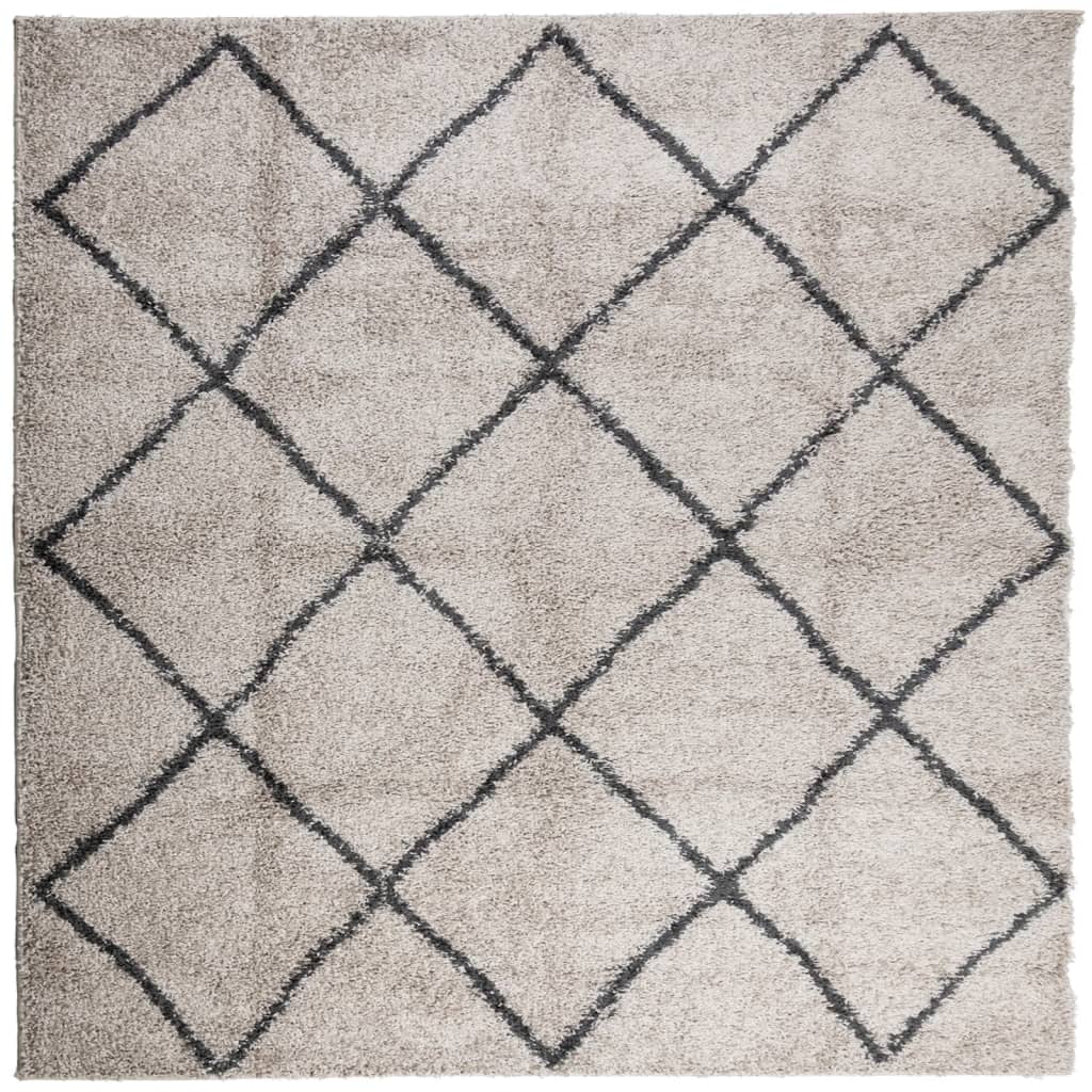 Vloerkleed Pamplona Shaggy Hoogpolig Beige En Antraciet 120 x 120 cm