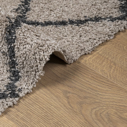 Vloerkleed Pamplona Shaggy Hoogpolig Beige En Antraciet 120 x 120 cm